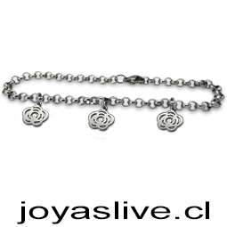 Pulsera acero quirúrgico, Cadenas Rolón, dijes de la suerte (pl300)