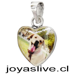 Dije Base de Plata chilena 950 Resina Fotográfica (Personaliza con tu foto)