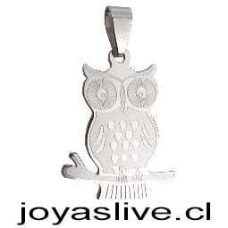 Dije de Acero Inoxidable Búho Protector