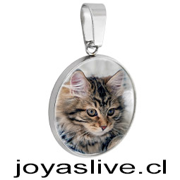 Dije de Acero Inoxidable Foto Personalizable Resina $9.500.
